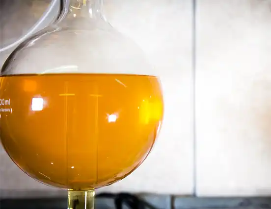 Ein Zirkulationskolben gefüllt mit spagyrischer Urtinktur.